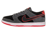 Nike Men's SB Zoom Dunk Low Pro IW Skate Shoe