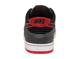Nike Men's SB Zoom Dunk Low Pro IW Skate Shoe