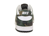 Nike Men's SB Dunk Low Pro Skate Shoe