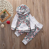 Baby Girl 2pcs Set Outfit Flower Print Hoodies with Pocket Top+Striped Long Pants