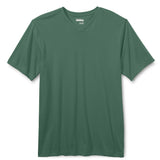 Basic Editions Men's Big & Tall Classic Fit V-Neck T-Shirt