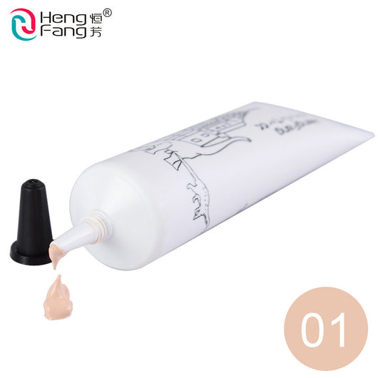 Magic Color 3 Colors BB Cream Concealer CC Cream Hydrating 30g Zoo Series Face Makeup Brand HengFang #H8434