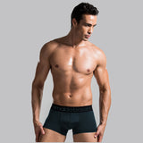 11 Colors Male Panties Sexy Underwear Men's Boxers Top Quality Modal Black Underwear Shorts Men Boxer Blue Los hombres boxeador