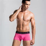 11 Colors Male Panties Sexy Underwear Men's Boxers Top Quality Modal Black Underwear Shorts Men Boxer Blue Los hombres boxeador