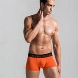 11 Colors Male Panties Sexy Underwear Men's Boxers Top Quality Modal Black Underwear Shorts Men Boxer Blue Los hombres boxeador