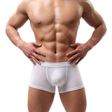 New Sexy Men Underwear 2016 Fashion uUnderwear Men Boxer Shorts Bulge Pouch Soft Underpants Boxers