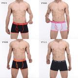CANTANGMIN Male panties cotton boxers panties comfortable breathable men's panties underwear trunk brand shorts man boxer 365